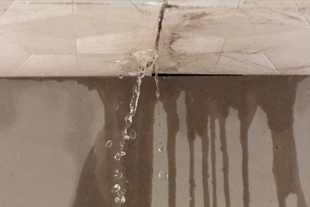 Professional Sewage Cleanup technician working in Somerset, KY